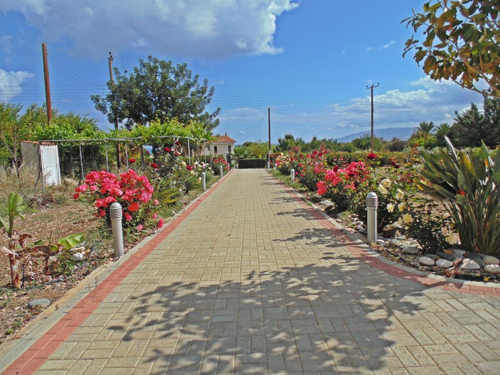 Polis Eliofos Luxury Villa מראה חיצוני תמונה