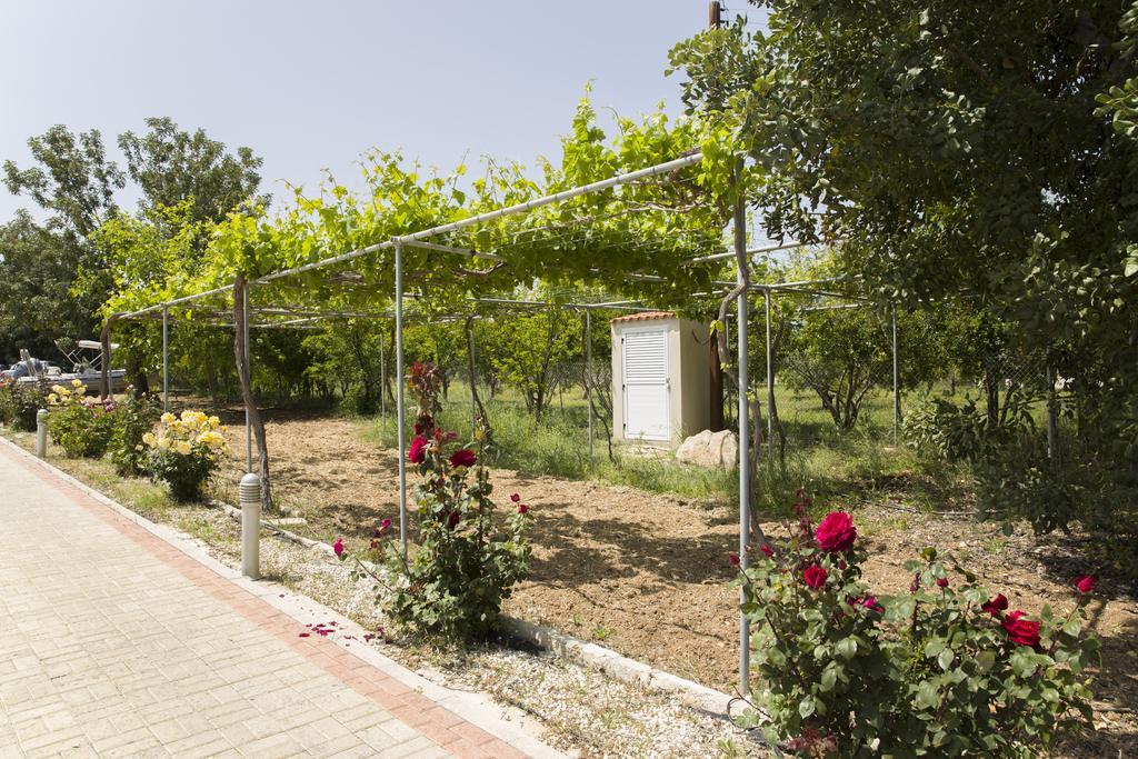 Polis Eliofos Luxury Villa מראה חיצוני תמונה