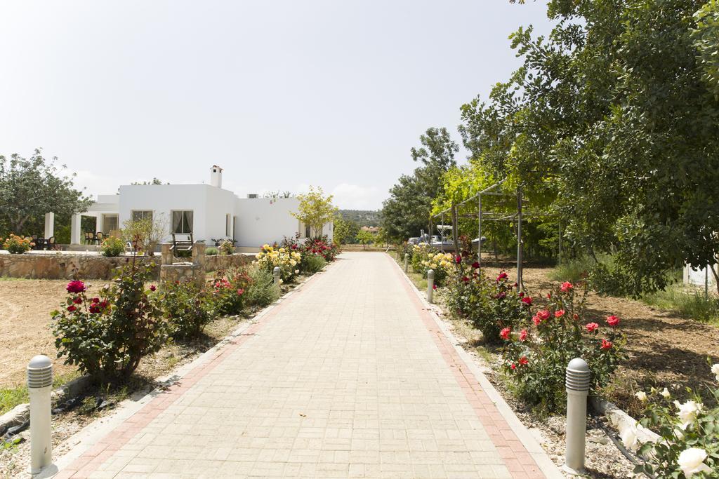 Polis Eliofos Luxury Villa מראה חיצוני תמונה